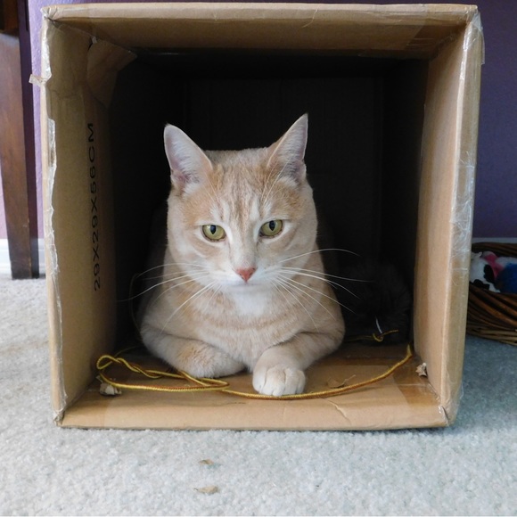 Meet your Posher, Shirley - Picture 8 of 16